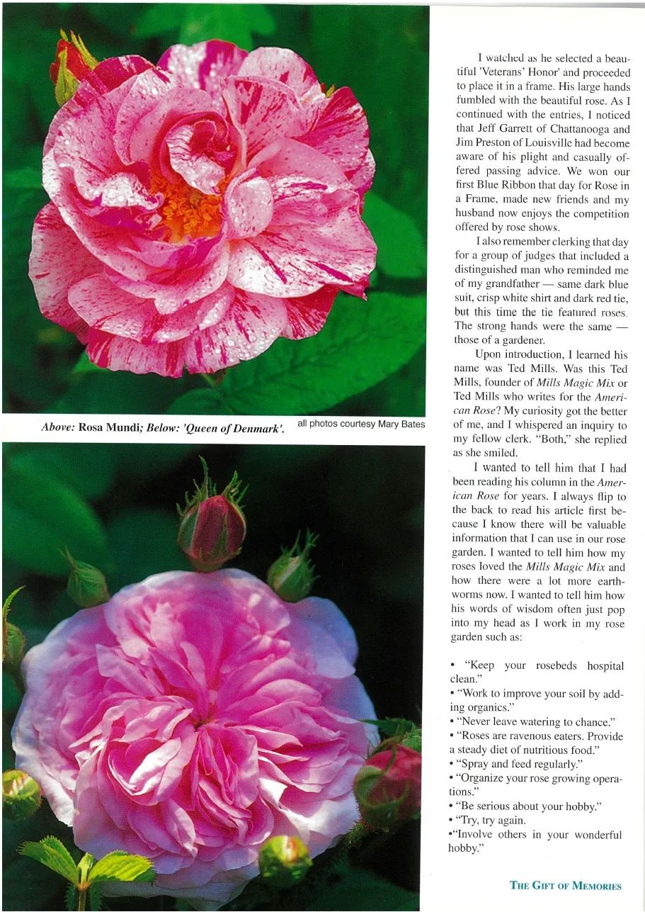 2009 American Rose Annual — page 5
