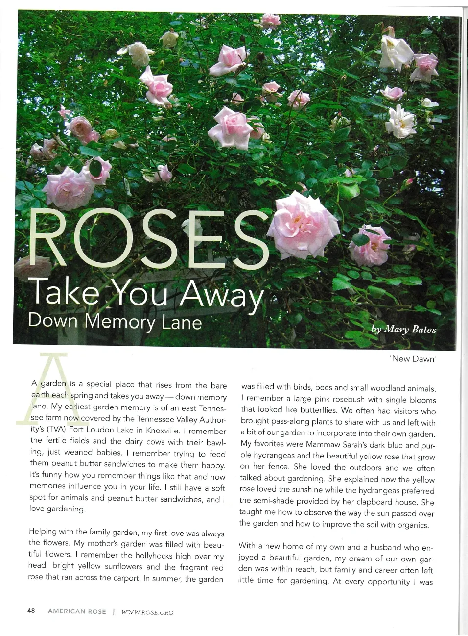 2015 American Rose Annual — page 1
