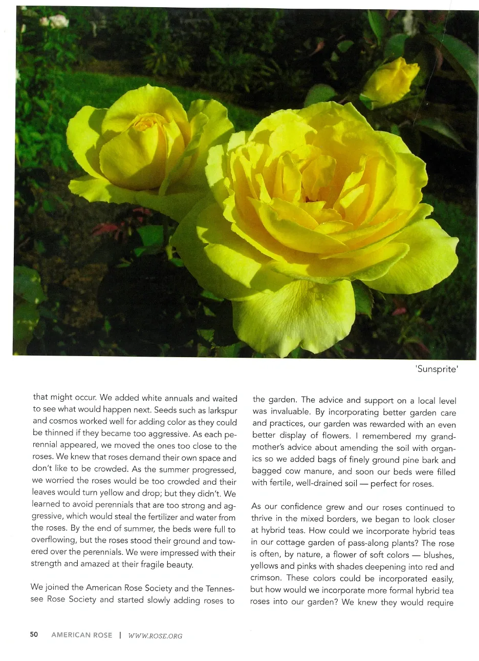 2015 American Rose Annual — page 3