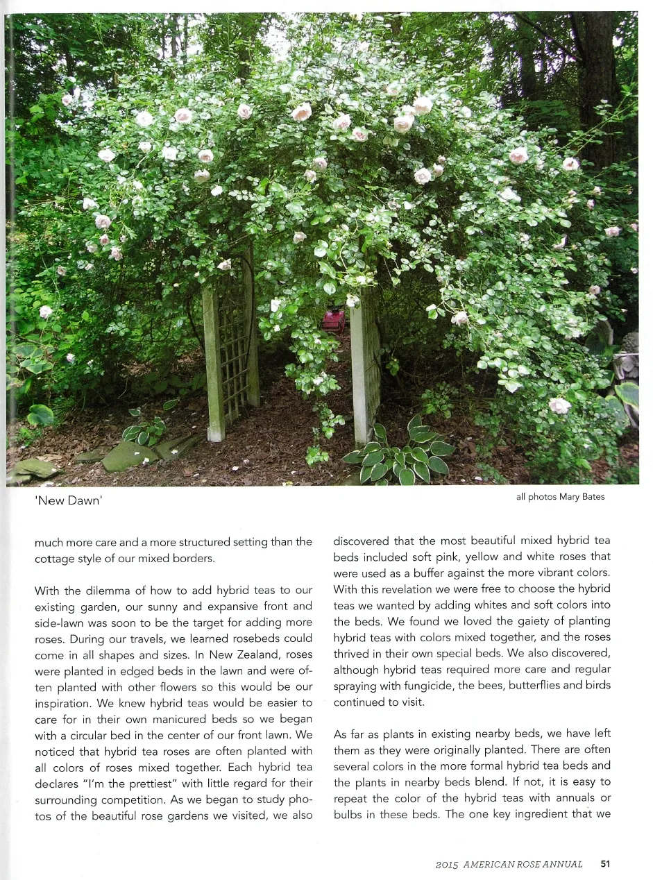 2015 American Rose Annual — page 4